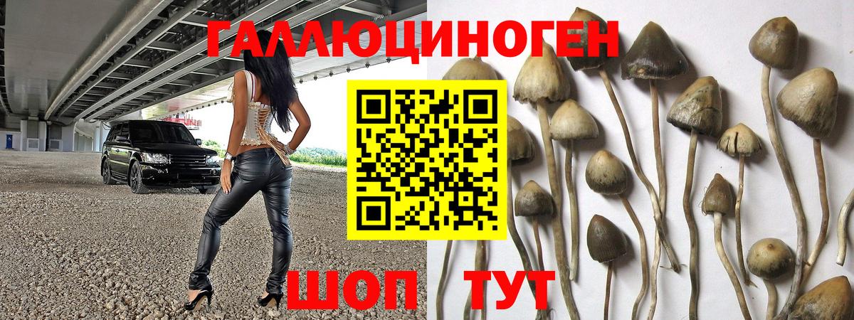 Псилоцибиновые грибы мицелий Десногорск